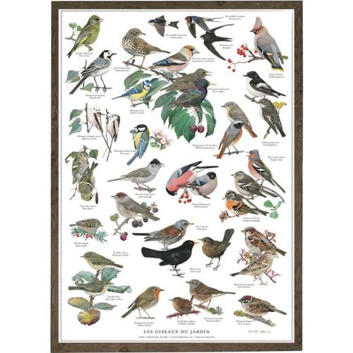  Poster Oiseaux